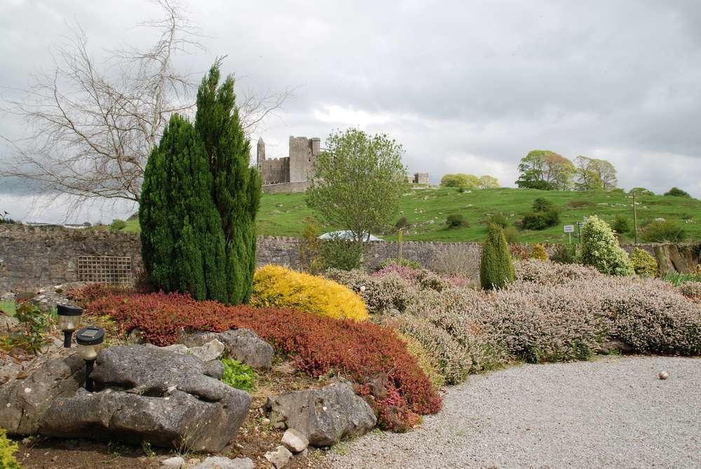 O'Briens Cashel Lodge Εξωτερικό φωτογραφία